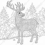 Reindeer Sprzedawany Przez Jeleń sketch template