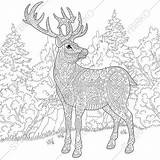 Reindeer sketch template