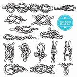 Rope Knots Vector Sketch Set sketch template