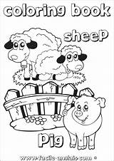 Sheep Coloring Cochon Moutons Anglais sketch template