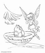 Fairy Coloring Pages Nestling Sheet Printable Disney sketch template