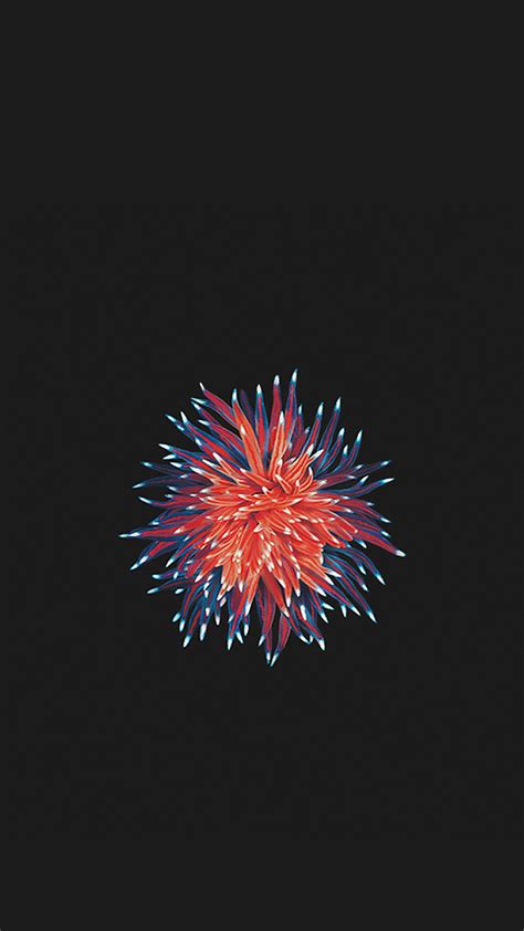 iphone se  ipad pro wallpapers