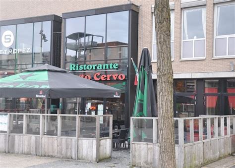 coffeeshop lounge shop domino  almere greenmeister