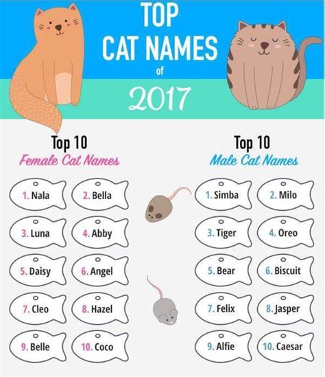 popular cat names     disney influence east hanover