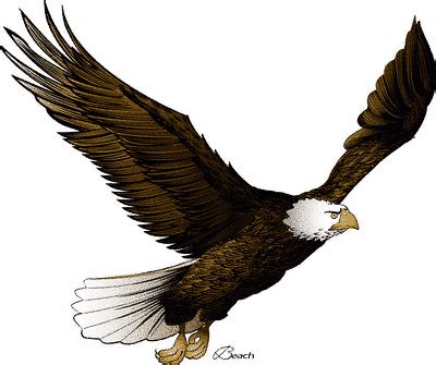 flying eagle clip art  clipartix