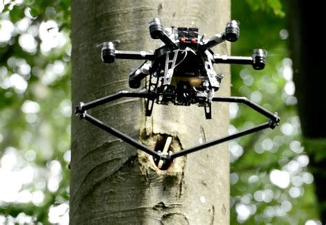 tree cavity inspection  drones robohub
