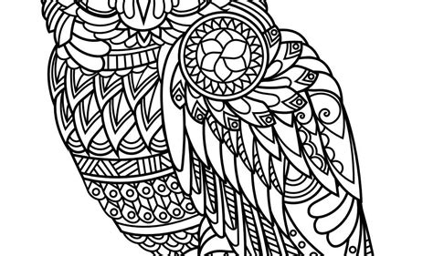 owl mandala coloring pages  viajesdeamor