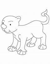 Cub Lion Very Small Coloring sketch template