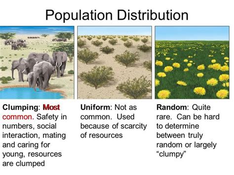 uniform distribution  environmental science