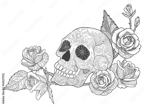 skull  rose coloring book page  adults  tattoo  doodle