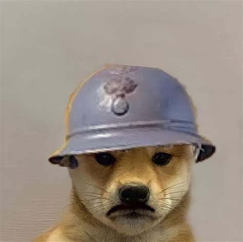 rainbow  siege anime halo armor sledge dog images doge sacred sims baseball hats