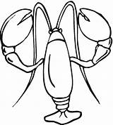 Raki Lobster Kraby Kolorowanki sketch template