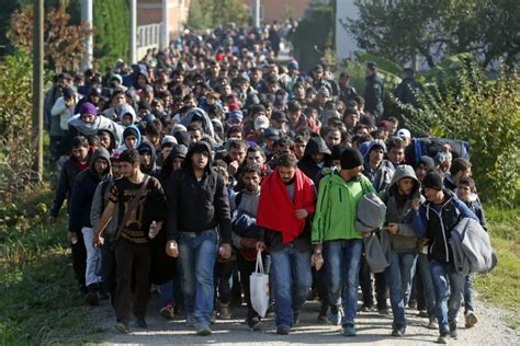 more than 80 of muslim so called ‘refugees arriving in
