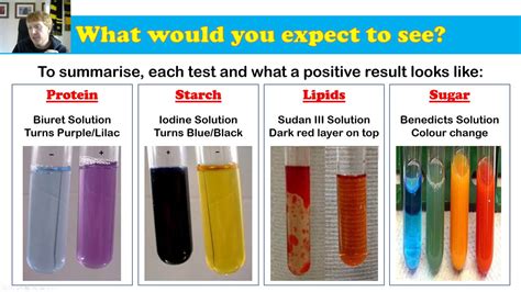 food tests rpa youtube