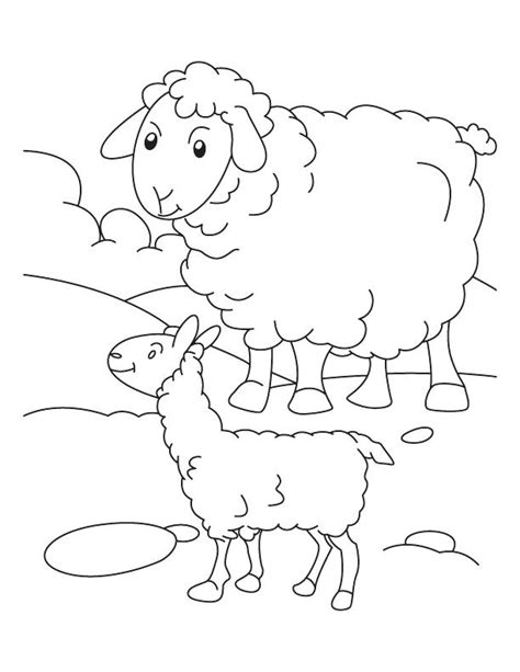 sheep coloring page images
