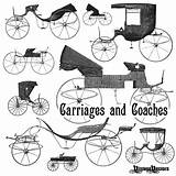 Buckboard Wozy Carriages Roku Coaches Webstockreview Vectorified sketch template