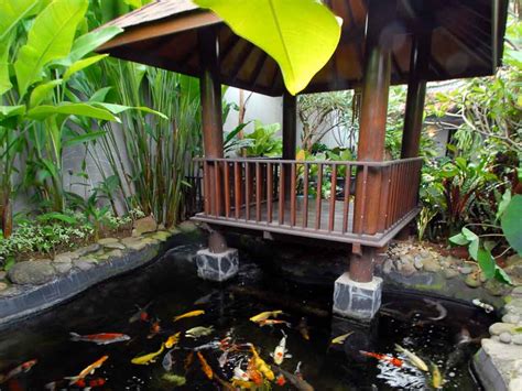inspirasi  desain gazebo  atas kolam ikan minimalis
