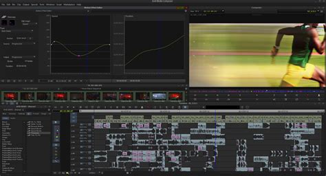 avid  video editing software accurate reviews