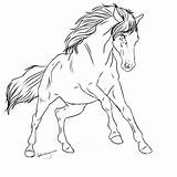 Lineart Kuda Sketsa Poni Mane Kimbokah Halter Stallion Insertion sketch template