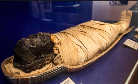 New Mummy Room Ancient Egyptian Artifacts To Be