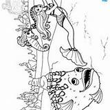 Coloring Stonefish sketch template