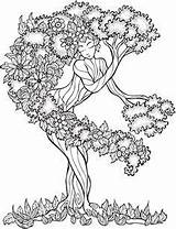 Lebens Keltischer Baum Lebensbaum sketch template