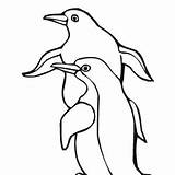 Coloring Penguin Drawing Two Realistic Eyed Penguins Having Together Yellow Fun sketch template