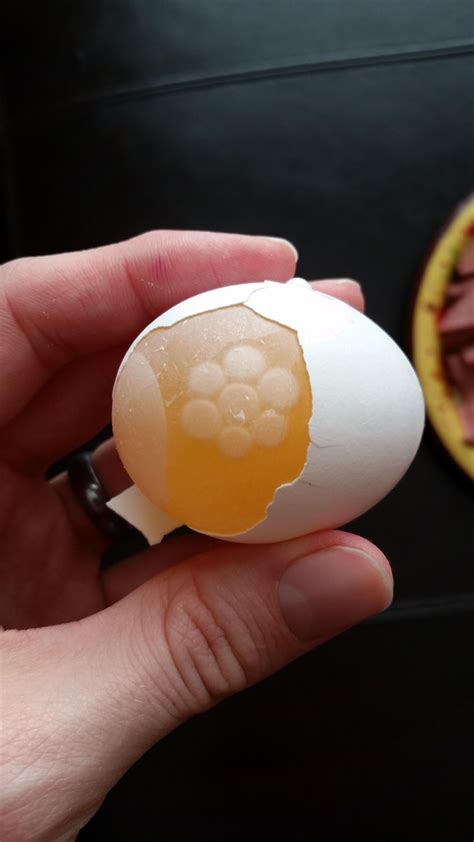 cracked  egg  left  membrane intact