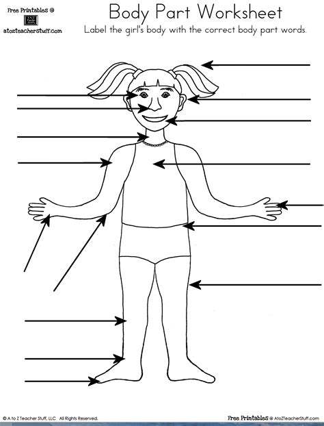 label  body parts worksheet kindergarten
