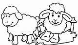 Coloring Sheep Farming Kids Pages Seven Animals Children Cartoon Cute sketch template