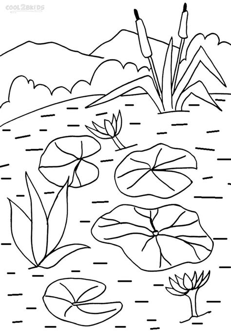 water lilies coloring pages   print