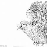 Mythomorphia Parrot sketch template