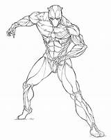 Marvel Pantera Colorare Printable Defend Challa Nera Supereroe sketch template