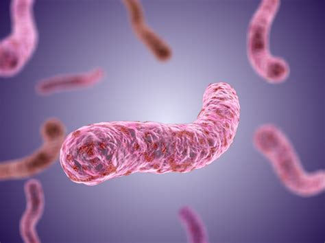 airborne contagious killer  mycobacterium