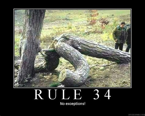 rule 34 really funny pictures collection on