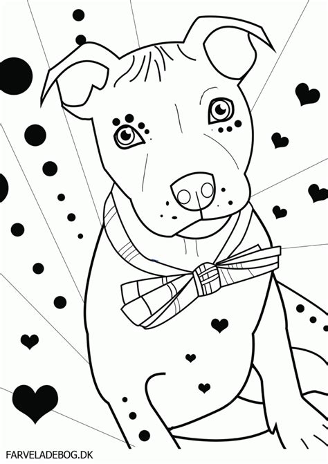 pitbull puppies coloring pages coloring home