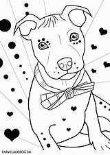 Coloring Pitbull Pages Bull Dog Pit Terrier Puppies Puppy Drawing Silhouette Getdrawings Printable Getcolorings Face Clip Popular Colorings sketch template