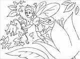 Pixie Coloring sketch template