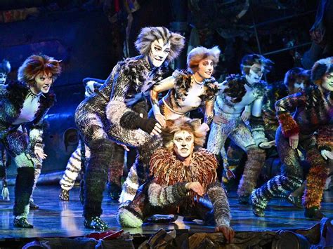 musical cats feierte premiere im wiener ronacher kultur viennaat