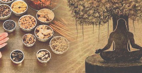 10 wonderful health benefits of ayurvedic herbs for