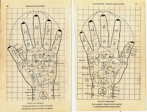 my own thoughts acupressure reflexology charts collection