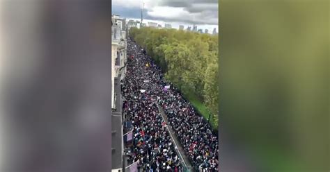 Gaza Foules Immenses à Londres Et Istanbul Lors De Manifestations Pro