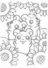 Hamster Coloring Pages Hamtaro Hamsters Sunflower Cute Kawaii Kids Printable Color Print Series Colouring Picgifs Anime Cartoon Bestcoloringpagesforkids Books Flower sketch template
