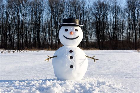 snowman building contest  newark  times  wayne county