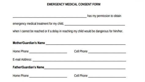 consent form samples   ms word excel