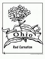 Ohio Coloring State Pages Flower Brutus Buckeyes Football Drawing Osu Buckeye Printables Kids Carnation Red Comments Getdrawings sketch template