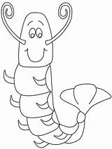 Udang Mewarnai Kartun Crevette Versi Seafood Ozean Colorier Diwarnai Coloringpagebook Deh Sketsa Putih Hitam Ausmalbilder Ukuran Warnai Paud Coloriages Designlooter sketch template