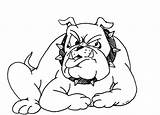 Bulldog Coloring Pages Bulldogs Georgia American English Nederland Printable Havanese Print Tx Getcolorings Color Pag Puppy Kids sketch template