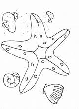 Starfish Rozgwiazda Kolorowanki Coloringbay Dzieci Bestcoloringpagesforkids sketch template