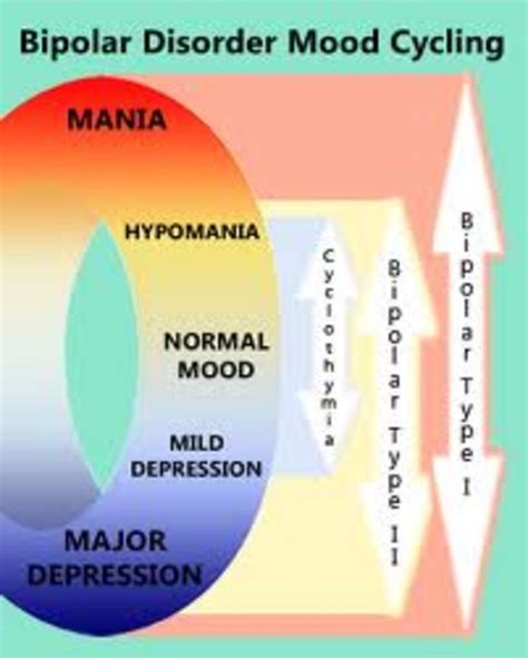 what are the different types of bipolar disorder hubpages